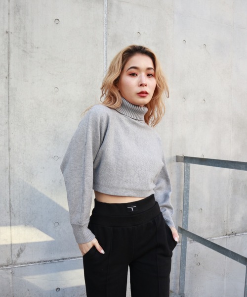 FIG&VIPER（フィグアンドバイパー）の「タートルクロップドニットTOP（ニット/セーター・レディース・ブラック/グレー/アイボリー・FREE）」の3枚目の写真