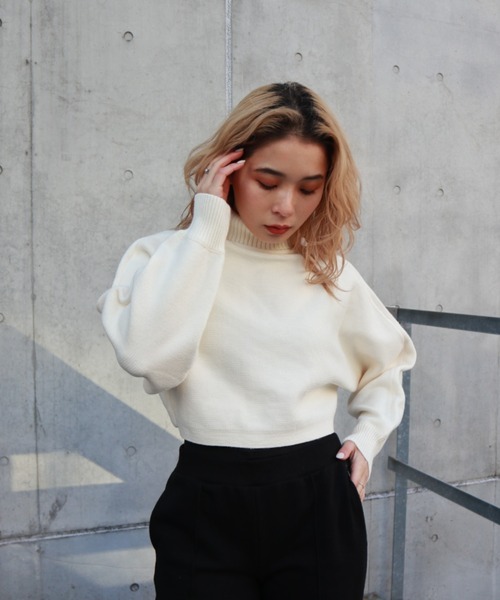 FIG&VIPER（フィグアンドバイパー）の「タートルクロップドニットTOP（ニット/セーター・レディース・ブラック/グレー/アイボリー・FREE）」の7枚目の写真