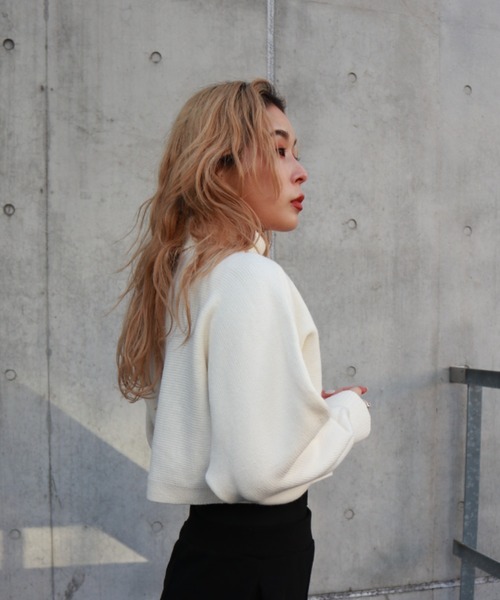 FIG&VIPER（フィグアンドバイパー）の「タートルクロップドニットTOP（ニット/セーター・レディース・ブラック/グレー/アイボリー・FREE）」の11枚目の写真