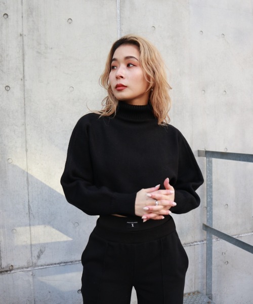 FIG&VIPER（フィグアンドバイパー）の「タートルクロップドニットTOP（ニット/セーター・レディース・ブラック/グレー/アイボリー・FREE）」の15枚目の写真