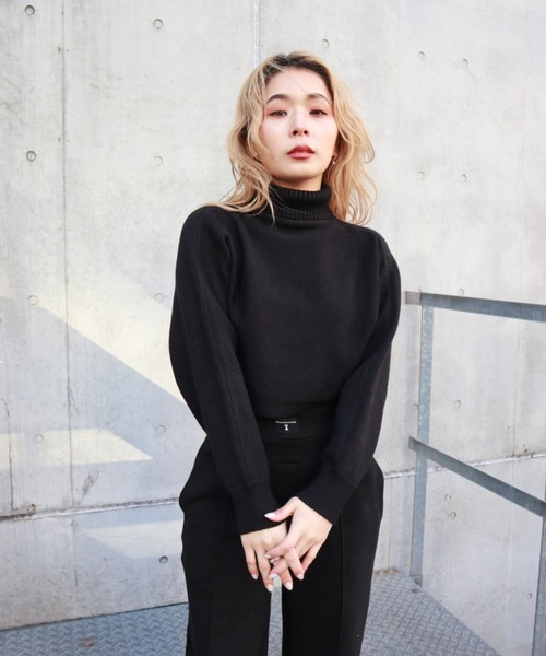 FIG&VIPER（フィグアンドバイパー）の「タートルクロップドニットTOP（ニット/セーター・レディース・ブラック/グレー/アイボリー・FREE）」の16枚目の写真