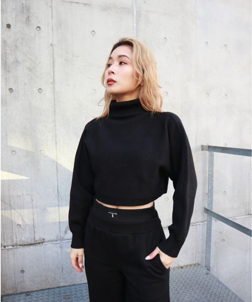 FIG&VIPER（フィグアンドバイパー）の「タートルクロップドニットTOP（ニット/セーター・レディース・ブラック/グレー/アイボリー・FREE）」の17枚目の写真