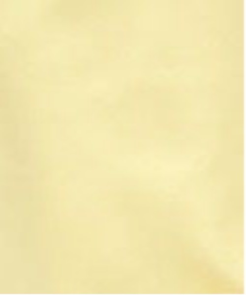 PairPair（ペアペア）の「ラッフルフリルシャツ（シャツ/ブラウス・レディース・オフホワイト/イエロー/ブルー系その他・フリー）」の20枚目の写真