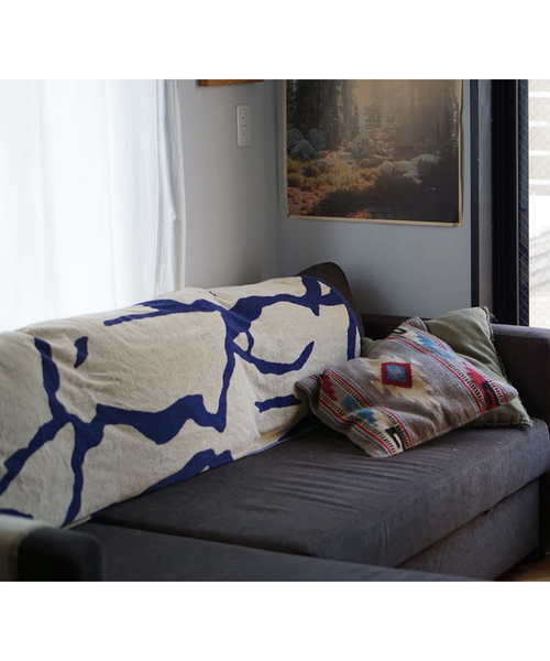journal standard Furniture （ジャーナルスタンダードファニチャー