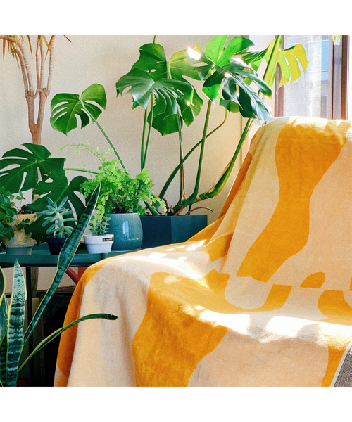 journal standard Furniture （ジャーナルスタンダードファニチャー