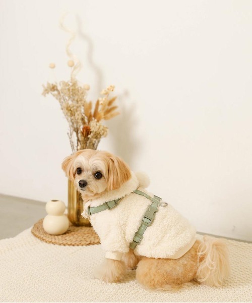 moncheri(モンシェリ)の「反射ほし柄ハーネス / 犬服 / ドッグウェア(リード/ハーネス/首輪・レディース・グリーン/アイボリー・M/S)」の3枚目の写真