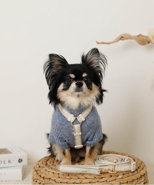 moncheri(モンシェリ)の「反射ほし柄ハーネス / 犬服 / ドッグウェア(リード/ハーネス/首輪・レディース・グリーン/アイボリー・M/S)」の4枚目の写真