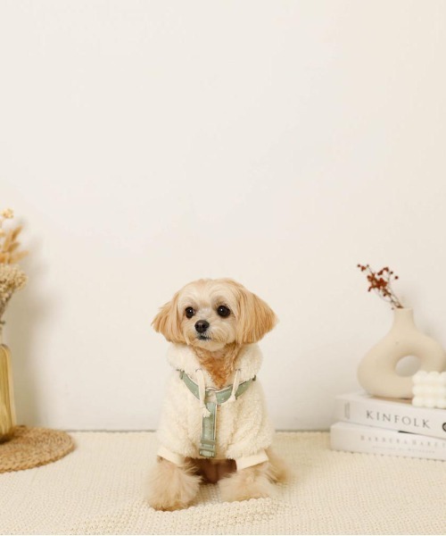moncheri(モンシェリ)の「反射ほし柄ハーネス / 犬服 / ドッグウェア(リード/ハーネス/首輪・レディース・グリーン/アイボリー・M/S)」の5枚目の写真
