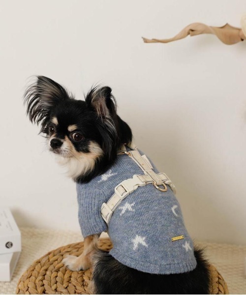 moncheri(モンシェリ)の「反射ほし柄ハーネス / 犬服 / ドッグウェア(リード/ハーネス/首輪・レディース・グリーン/アイボリー・M/S)」の6枚目の写真