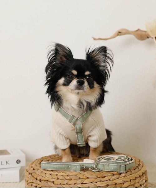 moncheri(モンシェリ)の「反射ほし柄ハーネス / 犬服 / ドッグウェア(リード/ハーネス/首輪・レディース・グリーン/アイボリー・M/S)」の11枚目の写真