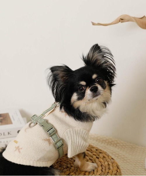moncheri(モンシェリ)の「反射ほし柄ハーネス / 犬服 / ドッグウェア(リード/ハーネス/首輪・レディース・グリーン/アイボリー・M/S)」の12枚目の写真