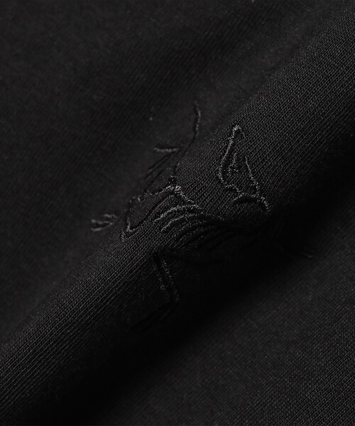 ARC'TERYX(アークテリクス)の「ARC'TERYX / リトルバード クルー ショートスリーブ ウィメンズ(Tシャツ/カットソー・レディース・ブラック/ホワイト・SMALL/MEDIUM)」の9枚目の写真