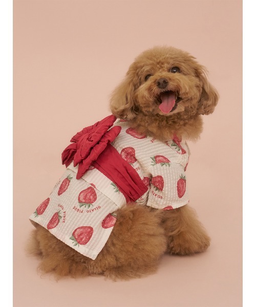 gelato pique(ジェラートピケ)の「【CAT&DOG】浴衣(ペットウェア・レディース・ベージュ/オフホワイト/ピンク/ブルー・SMALL/MEDIUM/LARGE)」の10枚目の写真