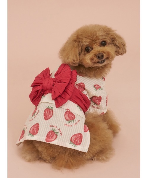 gelato pique(ジェラートピケ)の「【CAT&DOG】浴衣(ペットウェア・レディース・ベージュ/オフホワイト/ピンク/ブルー・SMALL/MEDIUM/LARGE)」の11枚目の写真