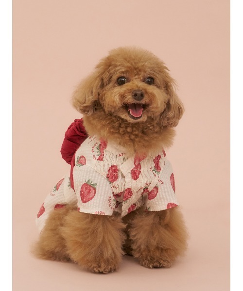 gelato pique(ジェラートピケ)の「【CAT&DOG】浴衣(ペットウェア・レディース・ベージュ/オフホワイト/ピンク/ブルー・SMALL/MEDIUM/LARGE)」の12枚目の写真