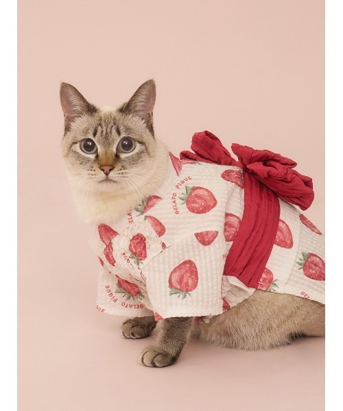 gelato pique(ジェラートピケ)の「【CAT&DOG】浴衣(ペットウェア・レディース・ベージュ/オフホワイト/ピンク/ブルー・SMALL/MEDIUM/LARGE)」の15枚目の写真