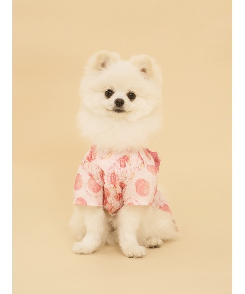 gelato pique(ジェラートピケ)の「【CAT&DOG】浴衣(ペットウェア・レディース・ベージュ/オフホワイト/ピンク/ブルー・SMALL/MEDIUM/LARGE)」の18枚目の写真