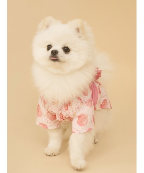 gelato pique(ジェラートピケ)の「【CAT&DOG】浴衣(ペットウェア・レディース・ベージュ/オフホワイト/ピンク/ブルー・SMALL/MEDIUM/LARGE)」の19枚目の写真