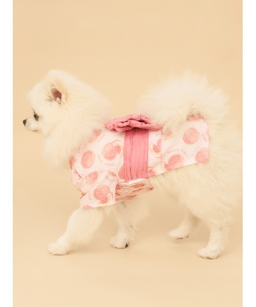 gelato pique（ジェラートピケ）の「【CAT&DOG】【販路限定商品