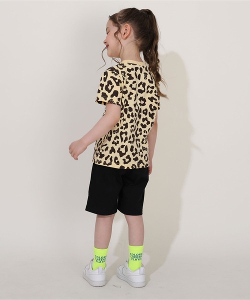 BABYDOLL（ベビードール）の「【プチプラ】綿100％ セットアップ 1025K（Tシャツ/カットソー・キッズ・ホワイト/ベージュ・120cm/100cm/110cm/90cm/140cm/130cm/150cm）」の13枚目の写真