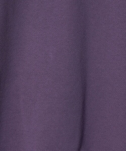 Champion（チャンピオン）の「＜Champion＞クルーネックスウェットシャツ / トレーナー / キッズ  140cm-160cm（スウェット・キッズ・パープル/ネイビー/ダークグリーン・150cm/160cm/140cm）」の22枚目の写真