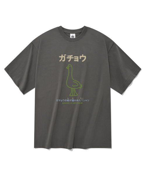 RADINEO(ラディネオ)の「ガチョウの毛 半袖Tシャツ グレー(Tシャツ/カットソー・メンズ・その他・SMALL/MEDIUM/LARGE/X-LARGE)」の1枚目の写真