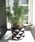 CasseliniiLZ[jj́uCasselini HOME(LZ[j z[)r[YJo[it[x[Xjvb}`