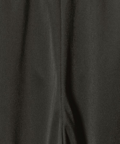 adidas Originals（アディダスオリジナルス）の「【国内EXCLUSIVE】＜adidas Originals＞ファイヤーバード トラックパンツ（その他パンツ・レディース・ダークグレー・XS）」の9枚目の写真