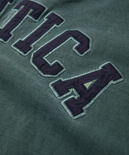 NAUTICA(ノーティカ)の「NAUTICA/ノーティカ Pigment Dyed Arch Logo S/S Tee “TOO HEAVY”(Tシャツ/カットソー・メンズ・チャコールグレー/ネイビー/グリーン/ワインレッド・SMALL/MEDIUM/LARGE/X-LARGE/XX-LARGE)」の20枚目の写真