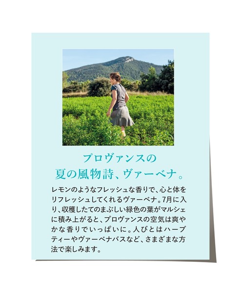 L'OCCITANE（ロクシタン）の「ヴァーベナ シャワージェル 250ｍL（石鹸/ボディソープ・レディース・その他・FREE）」の5枚目の写真