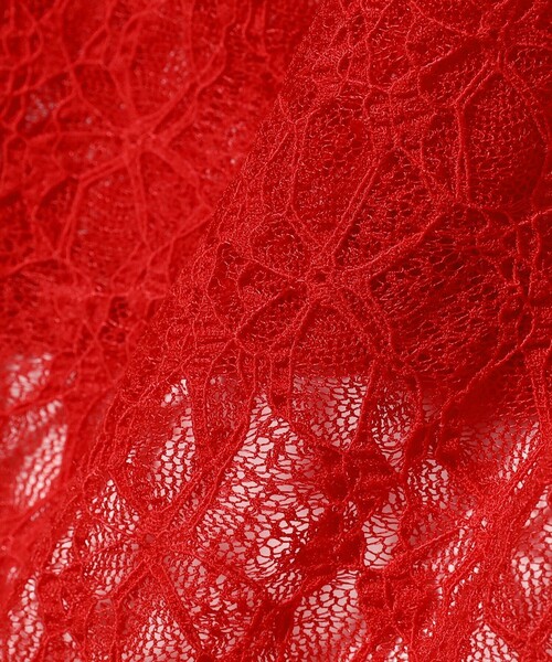 Ray BEAMS（レイビームス）の「ストレッチレース クルーネック Tシャツ（Tシャツ/カットソー・レディース・ブラック/レッド/ホワイト・ONE SIZE）」の5枚目の写真