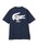 LACOSTEiRXej́uyʒzLACOSTE / STVciTVc/Jbg\[jvblCr[