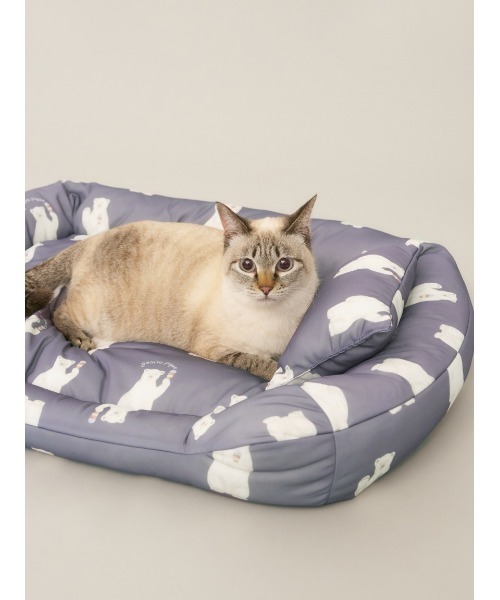 gelato pique 猫イラスト スウェットセット 130-150cm セール】【CAT&DOG】ベビモコアイスモチーフピロー（ペット用