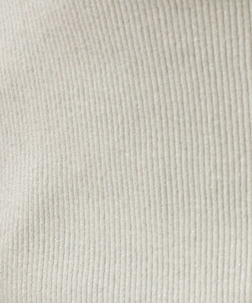 index(インデックス)の「前後2WAY サテンパイピングリブタンクトップ【洗濯機洗い可】(タンクトップ・レディース・ブラック/チャコールグレー/オフホワイト/ゴールド系5/シルバー系5・00)」の20枚目の写真