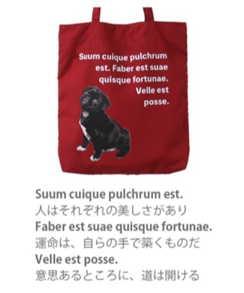 Per sist ence(パーシエンス)の「アニマルメッセージカラフルA4トート(トートバッグ・レディース・グリーン/イエロー/ブルー/レッド/ピンク・ONE SIZE)」の12枚目の写真