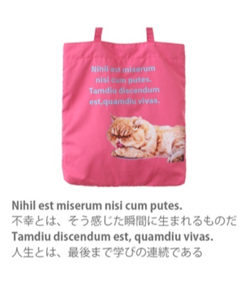 Per sist ence(パーシエンス)の「アニマルメッセージカラフルA4トート(トートバッグ・レディース・グリーン/イエロー/ブルー/レッド/ピンク・ONE SIZE)」の15枚目の写真