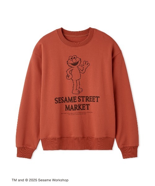 SESAME STREET(セサミストリート)の「【VINTAGE SKETCH】裏毛プルオーバー(スウェット・レディース・ライトブルー/ネイビー/パープル/レッド/グリーン・M/L)」の15枚目の写真