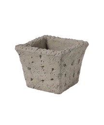DULTON(�_���g��)��CHEEPO/ �A�ؔ�(�t�����[�x�[�X)