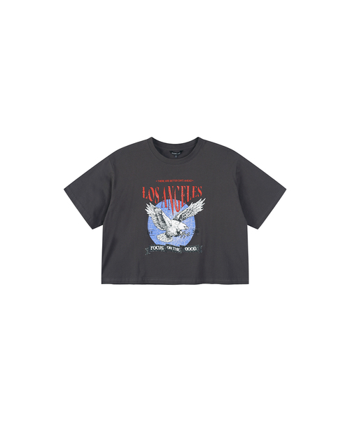 LAP(ラップ)の「ヴィンテージプリントクロップ半袖Tシャツ AS2CT470(Tシャツ/カットソー・レディース・ライトグレー/チャコールグレー・FREE)」の1枚目の写真