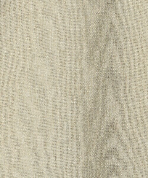 BEAUTY&YOUTH UNITED ARROWS（ビューティーアンドユースユナイテッドアローズ）の「ポリエステル メッシュ ショートスリーブシャツ（シャツ/ブラウス・レディース・ライム/ブラック/オフホワイト・FREE）」の20枚目の写真