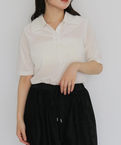 cheriella(シェリエラ)の「【cheriella】シアーベロアポロトップス SHEER VELOUR POLO TOP(Tシャツ/カットソー・レディース・ブラウン/グレー/オフホワイト/ブラック・FREE)」の5枚目の写真