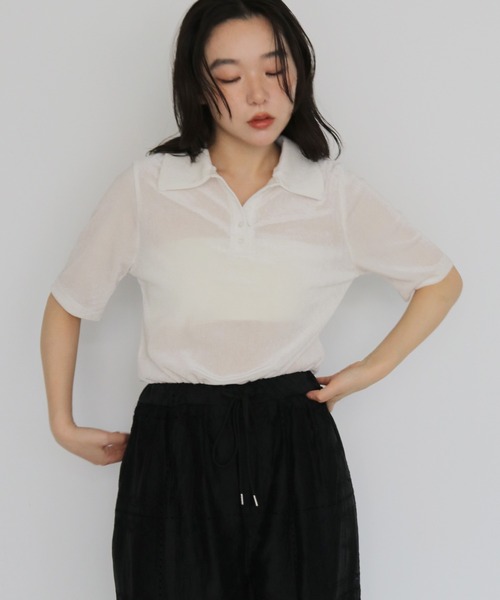 cheriella(シェリエラ)の「【cheriella】シアーベロアポロトップス SHEER VELOUR POLO TOP(Tシャツ/カットソー・レディース・ブラウン/グレー/オフホワイト/ブラック・FREE)」の6枚目の写真