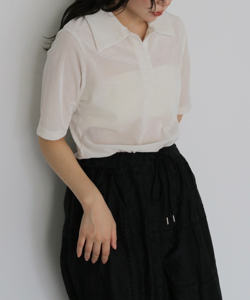 cheriella(シェリエラ)の「【cheriella】シアーベロアポロトップス SHEER VELOUR POLO TOP(Tシャツ/カットソー・レディース・ブラウン/グレー/オフホワイト/ブラック・FREE)」の8枚目の写真