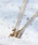 JUPITERiWs^[j́uʊԌ聄ySVzCjV_ChlbNX/BOXEВVbp[t<悠><S40.5cmtilbNXjvbM
