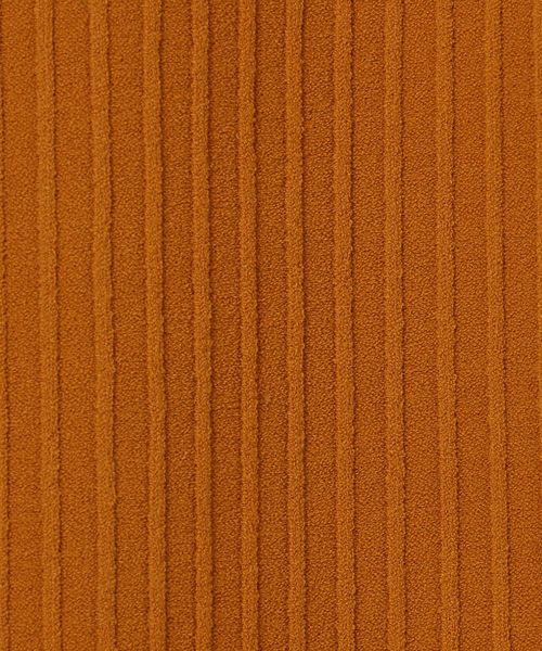 47528968_12