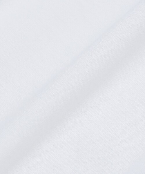 SHIPS: 抗菌・防臭 NANO-FINE(R) ハイゲージ クルーネック Tシャツ (ロンT)（Tシャツ/カットソー）｜SHIPS（シップス）