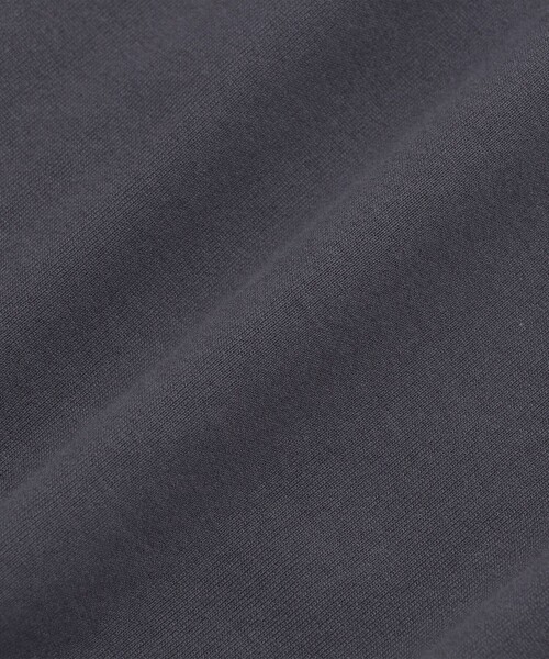 SHIPS: 抗菌・防臭 NANO-FINE(R) ハイゲージ クルーネック Tシャツ (ロンT)（Tシャツ/カットソー）｜SHIPS（シップス）