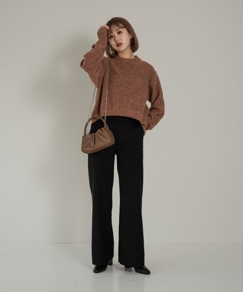 Amiur（エミレ）の「minimal bag（ハンドバッグ・レディース・ブラック/ブラウン/アイボリー・FREE）」の13枚目の写真