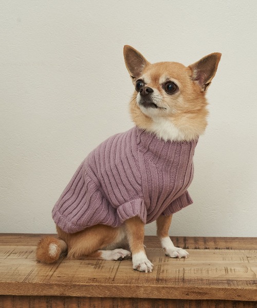 ROPE' PICNIC（ロペピクニック）の「【DOG】【WEB限定カラー:ミント, ピンク,イエロー】リブ切替プルオーバー（ペットウェア・レディース・レッド/ピンク/イエロー/オレンジ/ブルー/グリーン/パープル系その他/キナリ/グリーン系その他2・M size/S/M/L）」の5枚目の写真