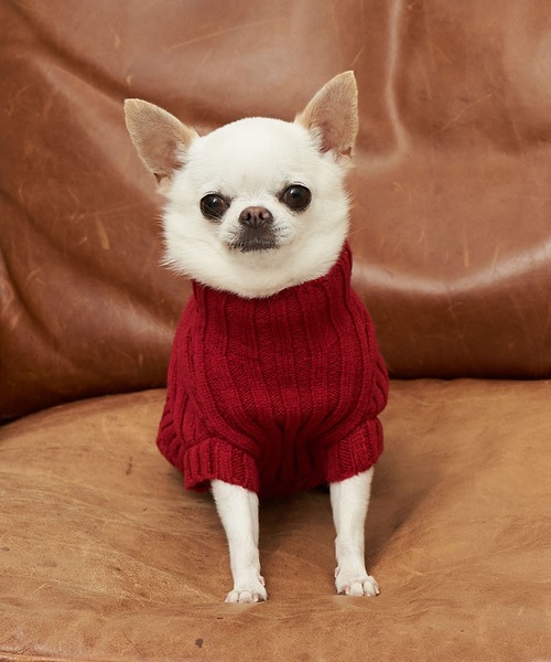 ROPE' PICNIC（ロペピクニック）の「【DOG】【WEB限定カラー:ミント, ピンク,イエロー】リブ切替プルオーバー（ペットウェア・レディース・レッド/ピンク/イエロー/オレンジ/ブルー/グリーン/パープル系その他/キナリ/グリーン系その他2・M size/S/M/L）」の8枚目の写真